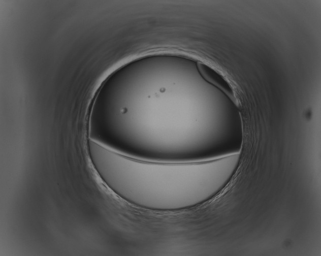 X0000095671534200801081027