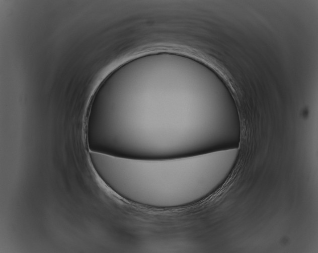 X0000095671535200801081027