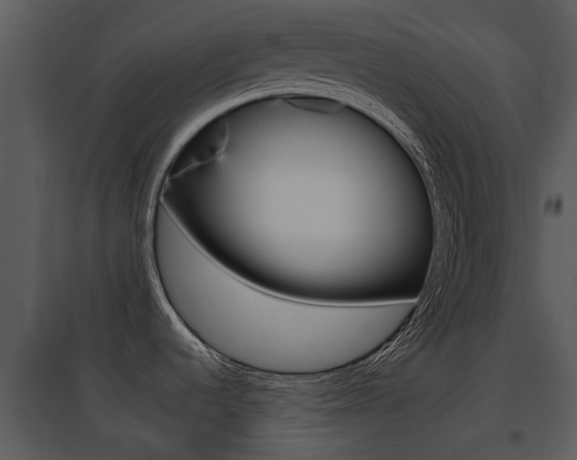 X0000095671536200801081027