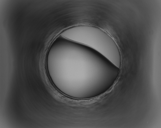 X0000095670001200801081218