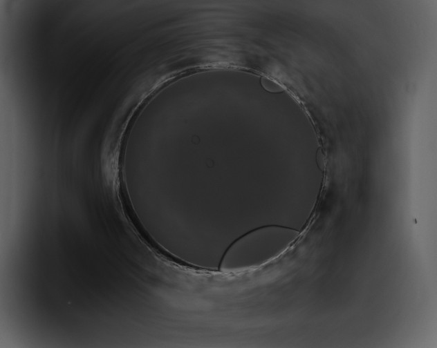 X0000095670002200801081218