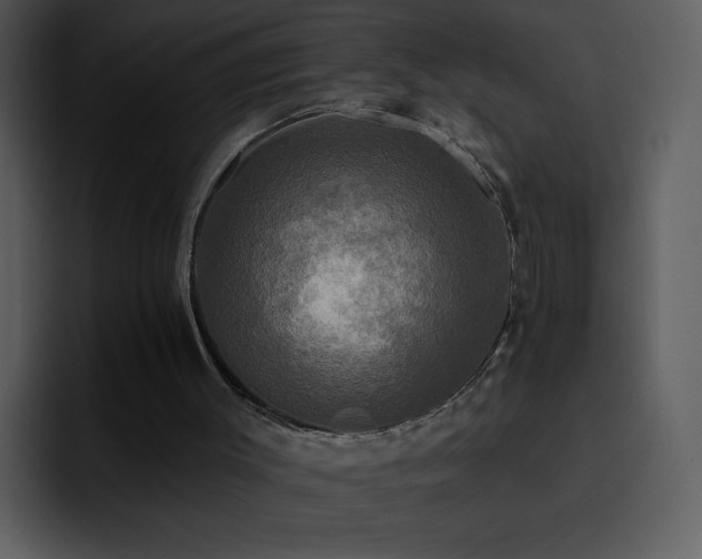 X0000095670003200801081218