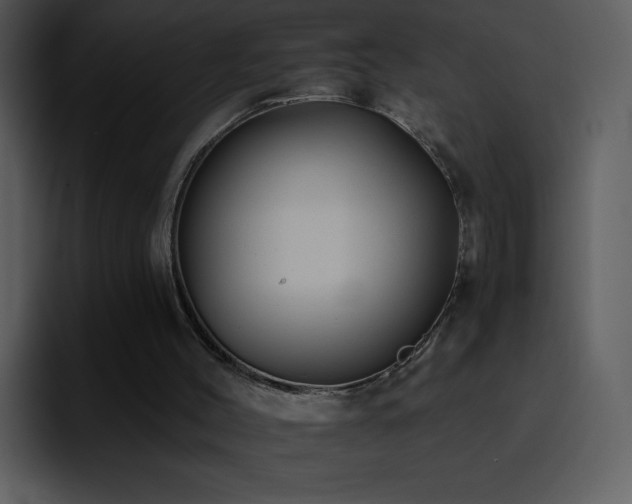 X0000095670004200801081218