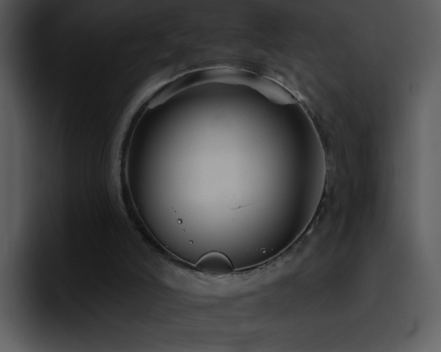 X0000095670006200801081218