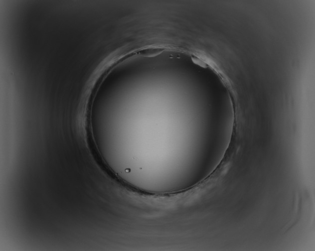 X0000095670007200801081218