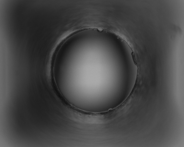 X0000095670008200801081218