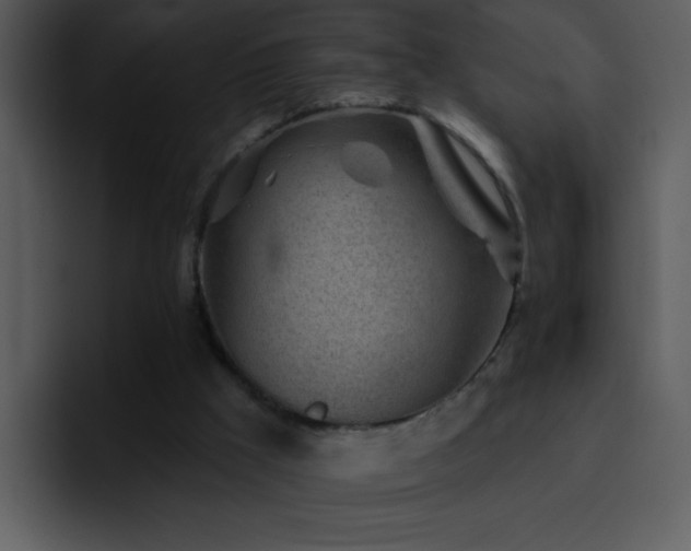 X0000095670009200801081218