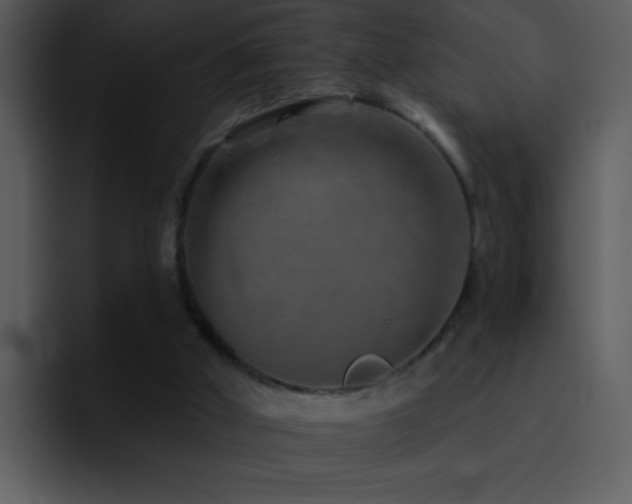 X0000095670010200801081218