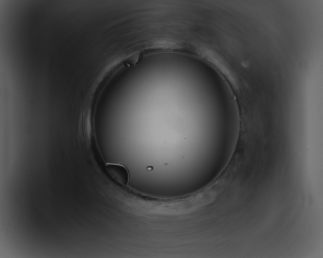 X0000095670011200801081218