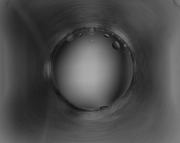 X0000095670013200801081218