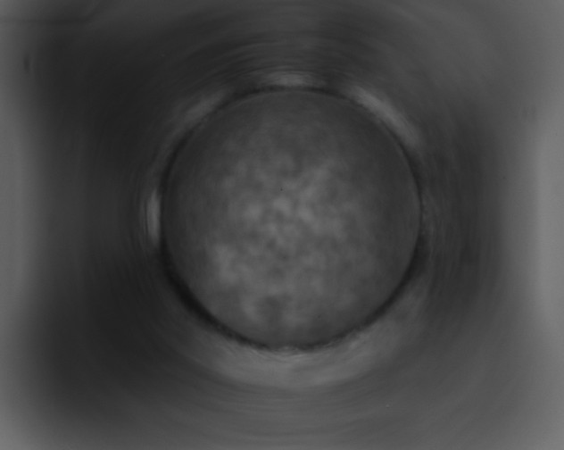 X0000095670014200801081218