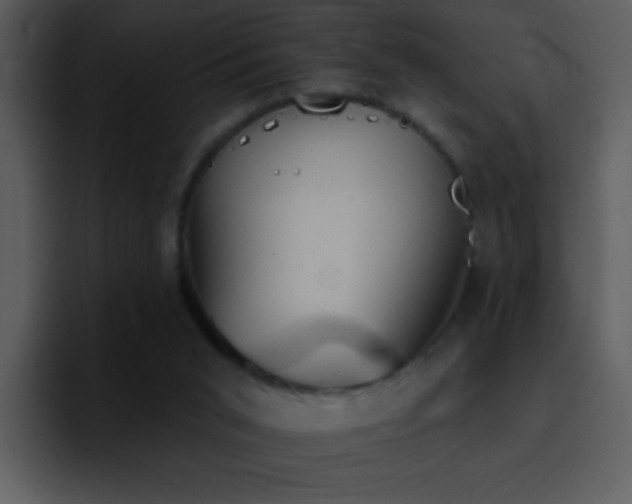 X0000095670015200801081218