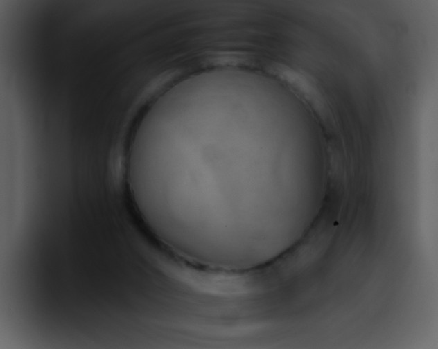 X0000095670016200801081218