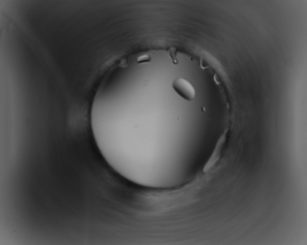 X0000095670017200801081218