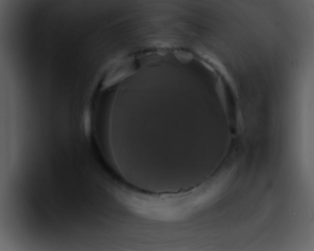 X0000095670019200801081218