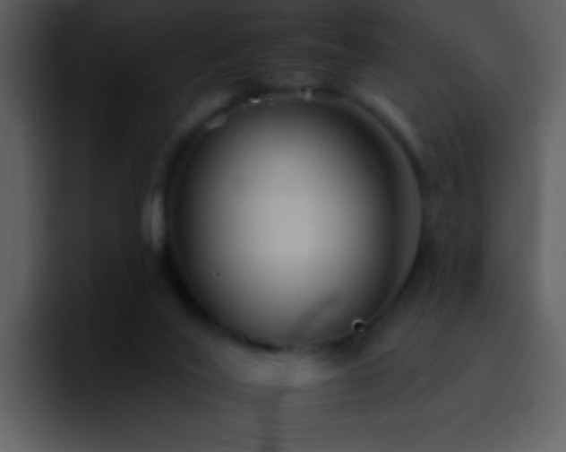 X0000095670020200801081218