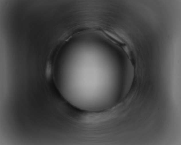 X0000095670021200801081218