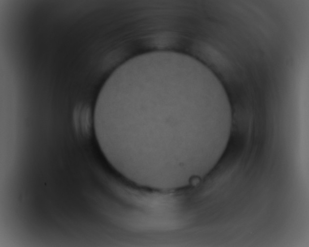 X0000095670024200801081218