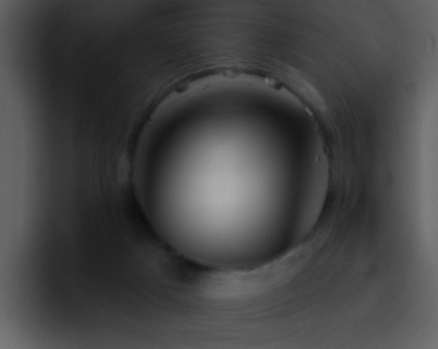 X0000095670025200801081218