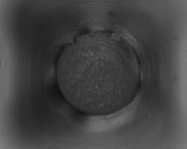 X0000095670029200801081218