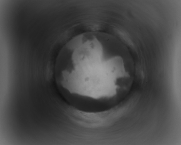 X0000095670030200801081218