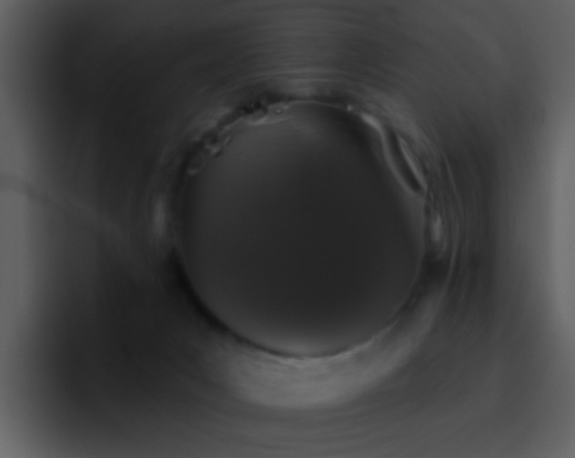 X0000095670031200801081218