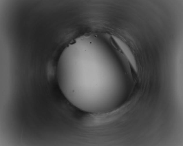 X0000095670033200801081218