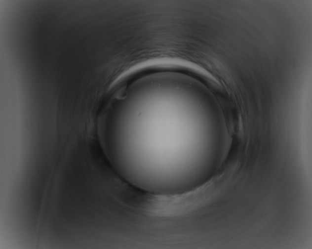 X0000095670037200801081218