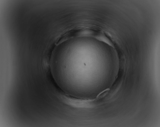 X0000095670040200801081218