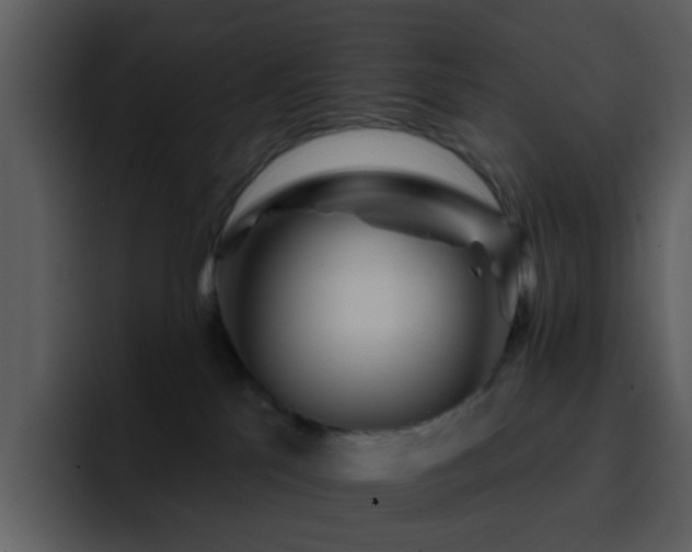 X0000095670041200801081217