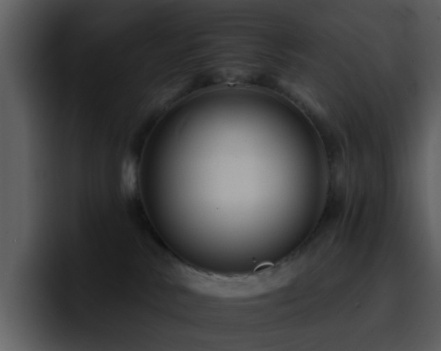 X0000095670042200801081217