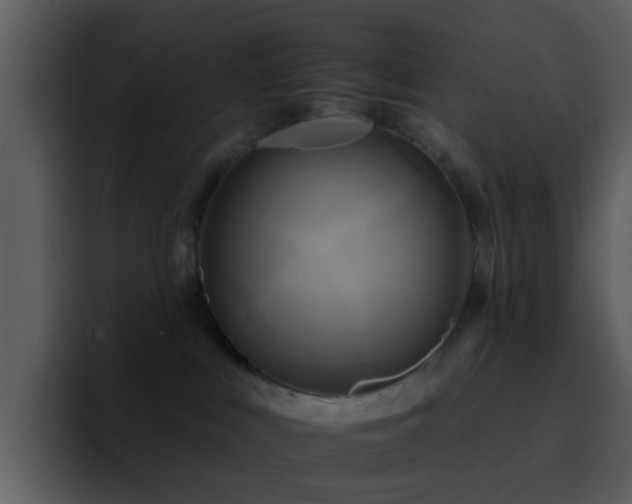 X0000095670043200801081217