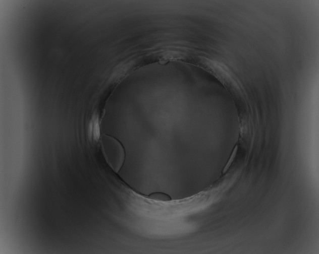 X0000095670046200801081217