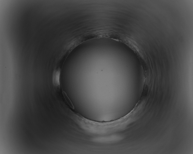 X0000095670047200801081217