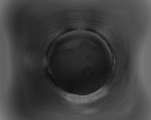 X0000095670048200801081217