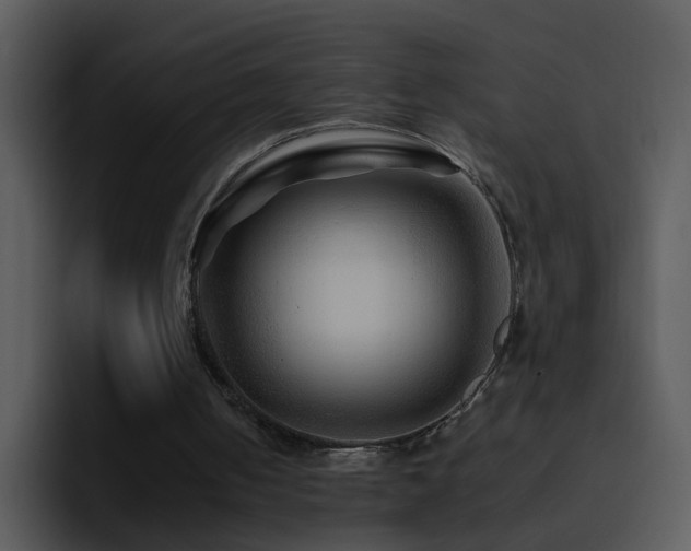 X0000095670050200801081217