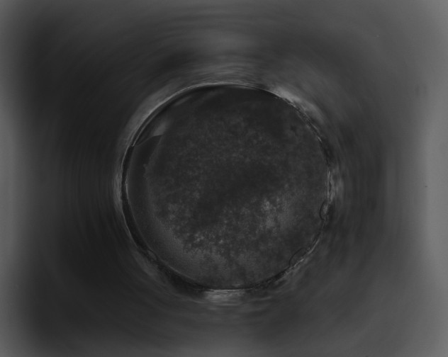 X0000095670051200801081217