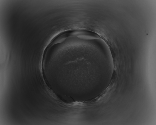 X0000095670052200801081217