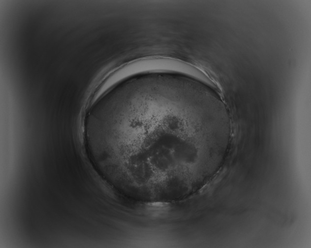 X0000095670053200801081217