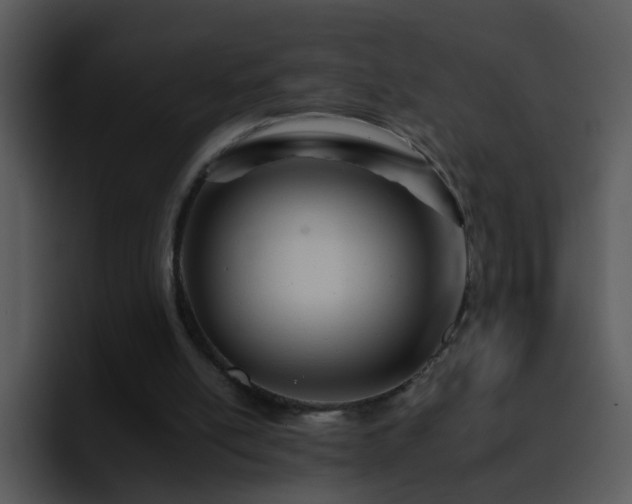 X0000095670054200801081217