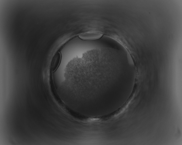 X0000095670055200801081217