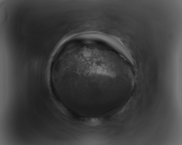 X0000095670056200801081217