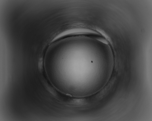 X0000095670057200801081217