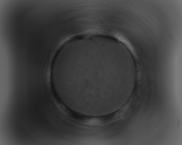 X0000095670058200801081217