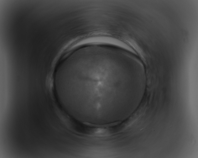 X0000095670060200801081217