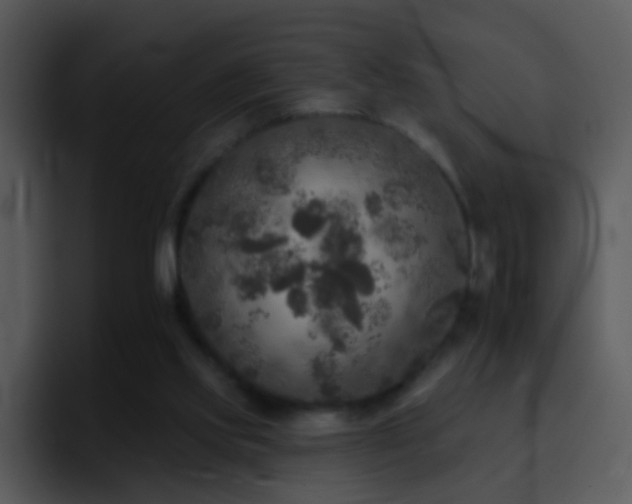 X0000095670061200801081217