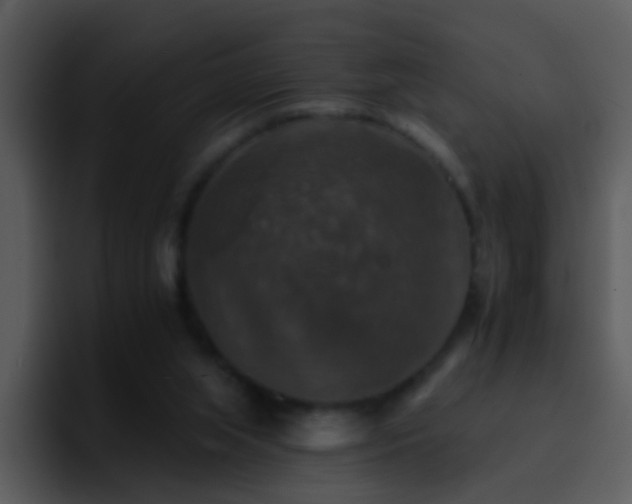 X0000095670063200801081217