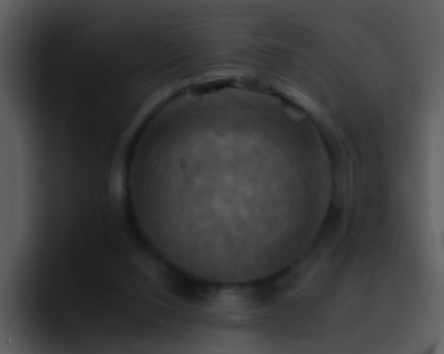 X0000095670064200801081217