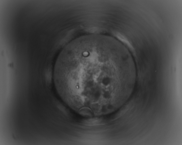 X0000095670065200801081217