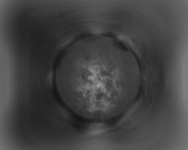 X0000095670066200801081217